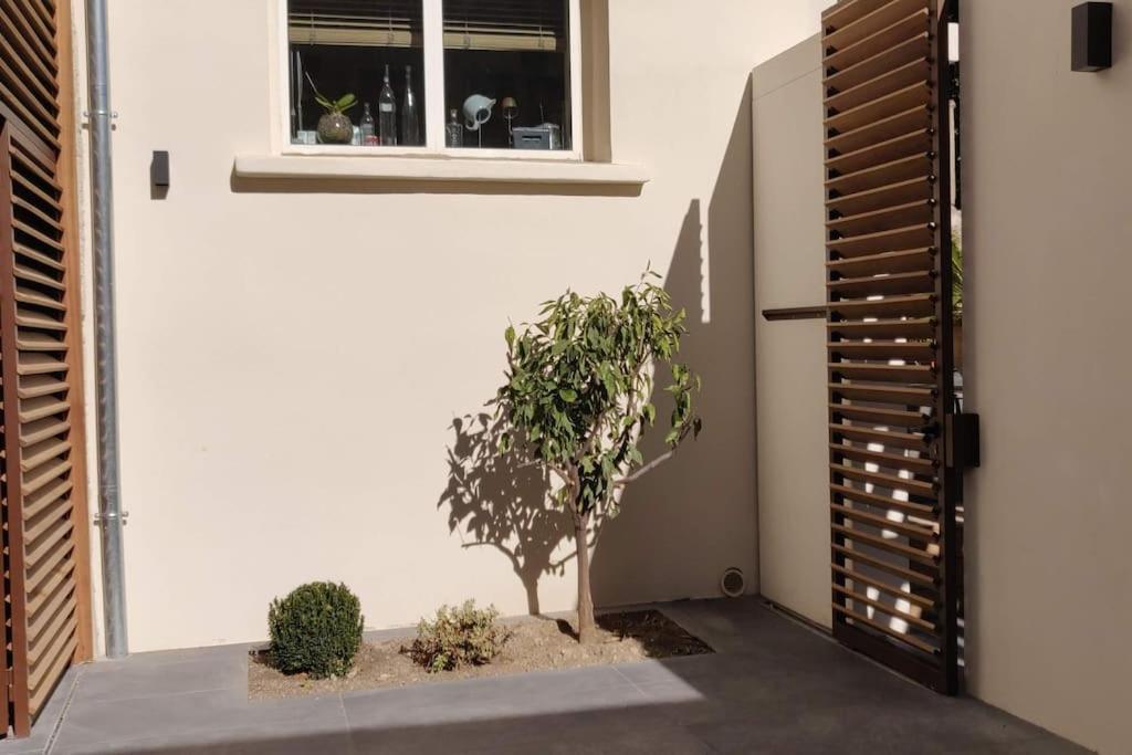 La Maison De Colette - Coeur De Village Cuxac-dʼAude Exteriér fotografie